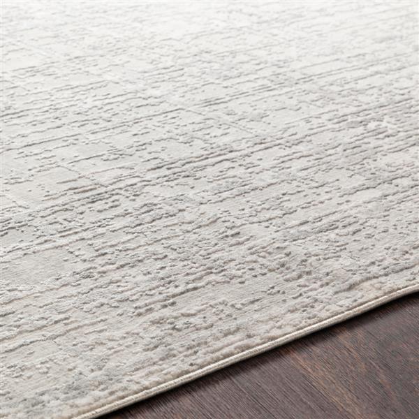 Surya Aisha Modern Area Rug - 7-ft 10-in x 10-ft 3-in- Rectangular - Grey