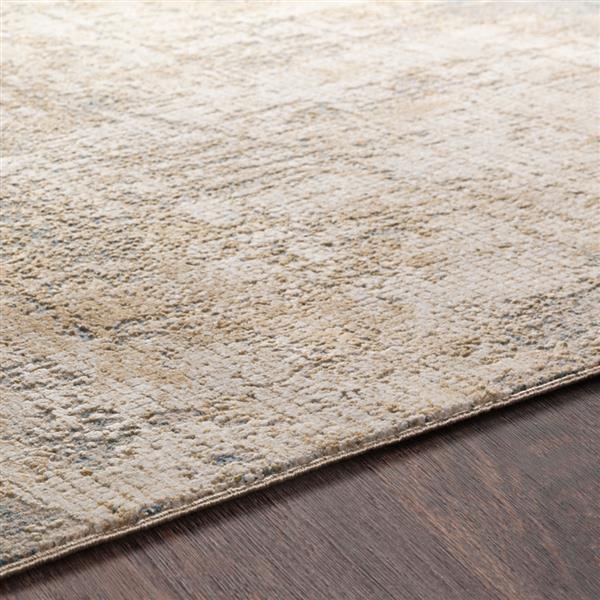 Surya Aisha Modern Area Rug 6ft 7in x 9ft 6in Rectangular