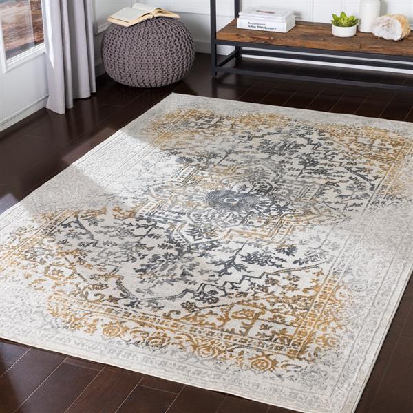 Surya Aisha Updated Traditional Area Rug - 5-ft 3-in x 7-ft 3-in - Rectangular - Charcoal