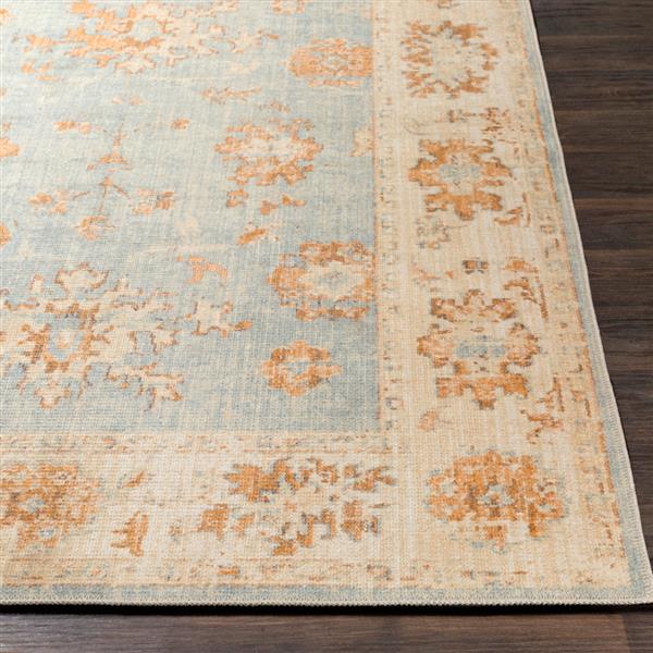 Surya Amelie Updated Traditional Area Rug - 7-ft 10-in x 10-ft 3-in - Rectangular - Aqua