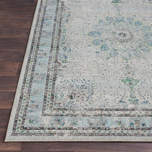 Surya Aberdine Updated Traditional Area Rug 5ft 2in x 7ft 6in