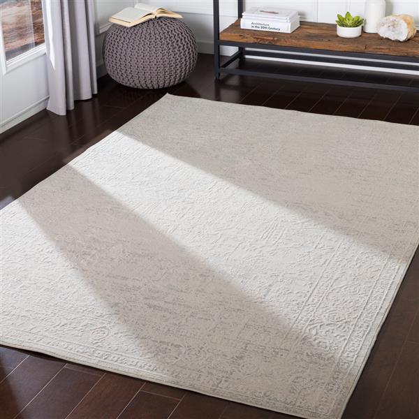 Surya Aisha Updated Traditional Area Rug - 5-ft 3-in x 7-ft 3-in - Rectangular - Grey