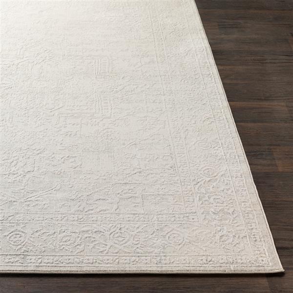 Surya Aisha Updated Traditional Area Rug - 5-ft 3-in x 7-ft 3-in - Rectangular - Grey