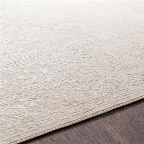 Surya Aisha Updated Traditional Area Rug - 5-ft 3-in x 7-ft 3-in - Rectangular - Grey