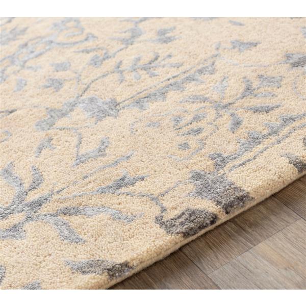 Surya Banshee Transitional Area Rug 5ft x 8ft Rectangular Khaki