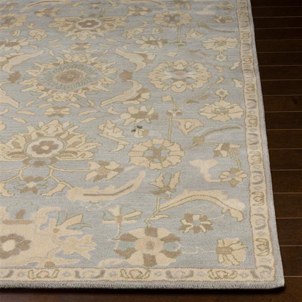 Surya Caesar Traditional Area Rug - 5-ft x 8-ft - Rectangular - Light Grey