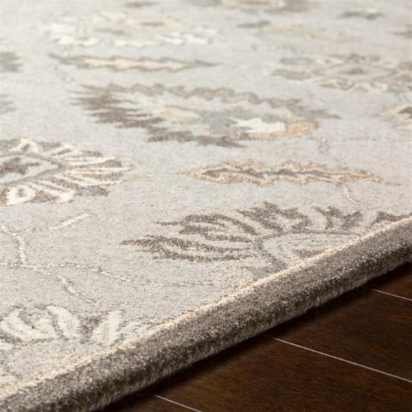 Surya Caesar Traditional Area Rug - 5-ft x 8-ft - Rectangular - Grey