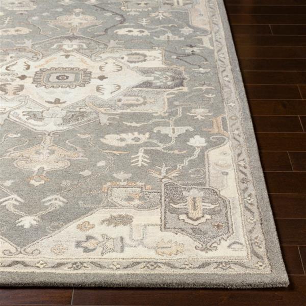 Surya Caesar Traditional Area Rug - 9-ft x 12-ft - Rectangular - Charcoal