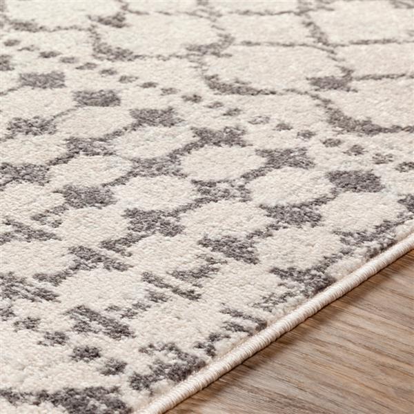 Surya Chester Bohemian Area Rug - 6-ft 7-in x 9-ft - Rectangular - Khaki