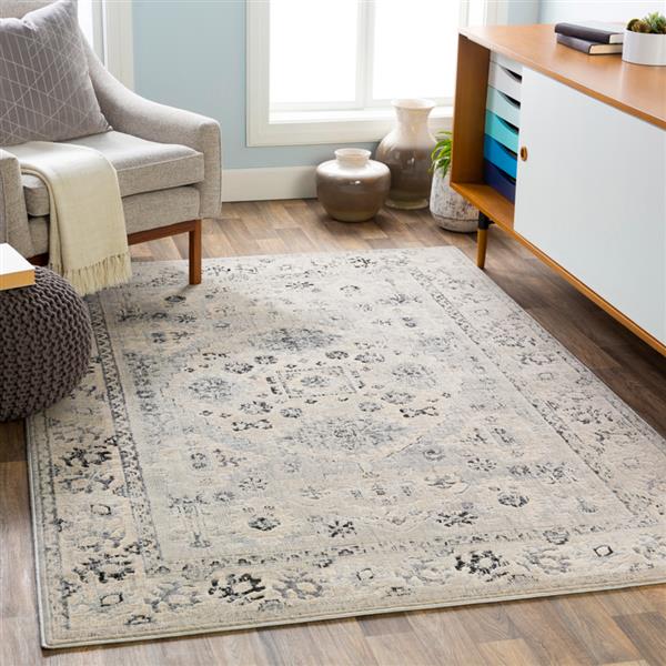 Surya City Updated Traditional Area Rug - 5-ft 3-in x 7-ft 3-in - Rectangular - Grey