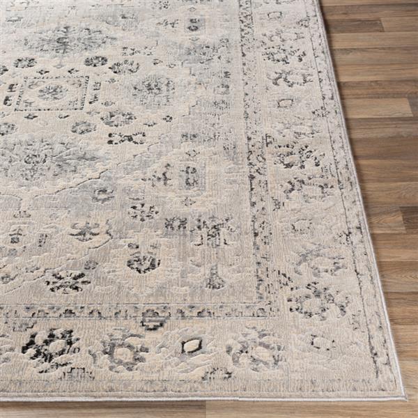 Surya City Updated Traditional Area Rug - 5-ft 3-in x 7-ft 3-in - Rectangular - Grey