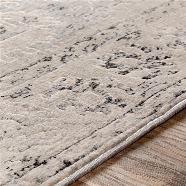 Surya City Updated Traditional Area Rug - 5-ft 3-in x 7-ft 3-in - Rectangular - Grey