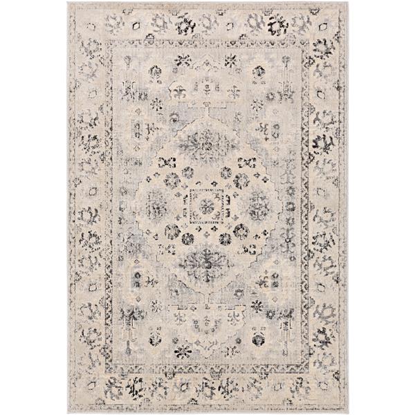 Surya City Updated Traditional Area Rug - 5-ft 3-in x 7-ft 3-in - Rectangular - Grey