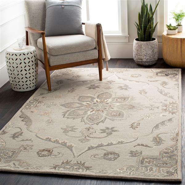 Surya Caesar Traditional Area Rug - 5-ft x 8-ft - Rectangular - Taupe