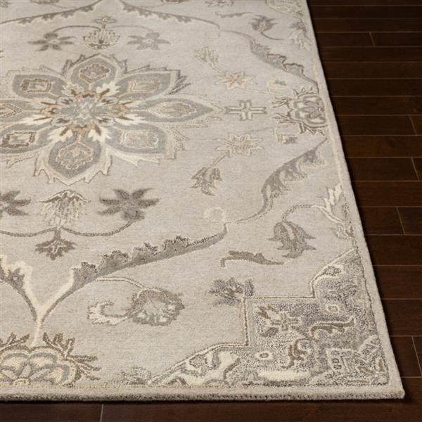 Surya Caesar Traditional Area Rug - 5-ft x 8-ft - Rectangular - Taupe