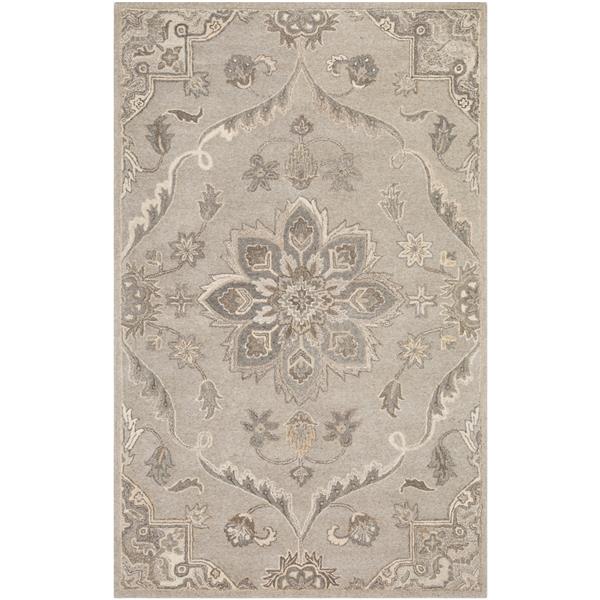 Surya Caesar Traditional Area Rug - 5-ft x 8-ft - Rectangular - Taupe