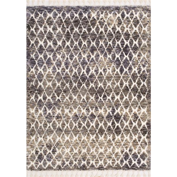 Kalora Colorado Rug - Latticework Pattern - 7.8-ft x 10.5-ft - Beige | RONA