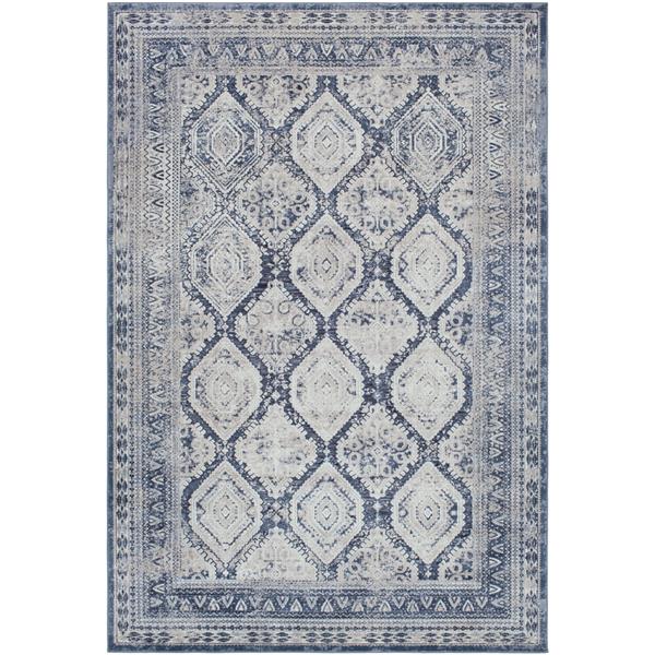 Surya Durham Updated Traditional Area Rug 7ft 10in x 10ft 3in