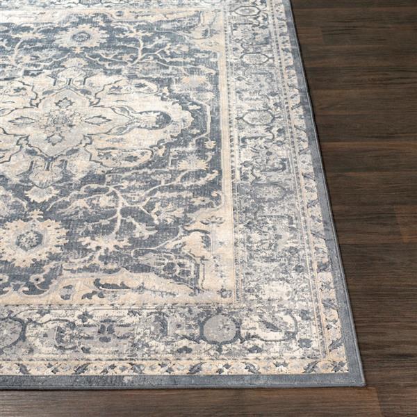 Surya Durham Updated Traditional Area Rug 9ft x 12ft Rectangular