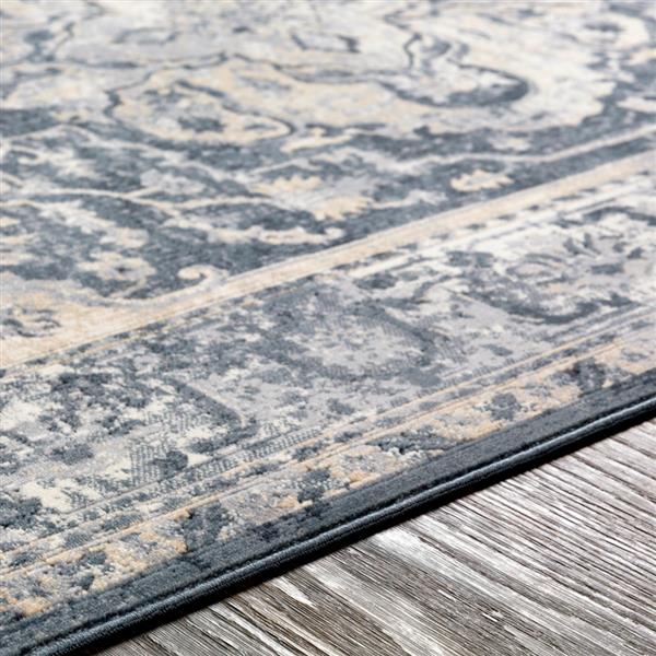 Surya Durham Updated Traditional Area Rug 9ft x 12ft Rectangular