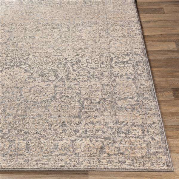 Surya City light Updated Traditional Area Rug - 7-ft 10-in x 10-ft - Rectangular - Beige