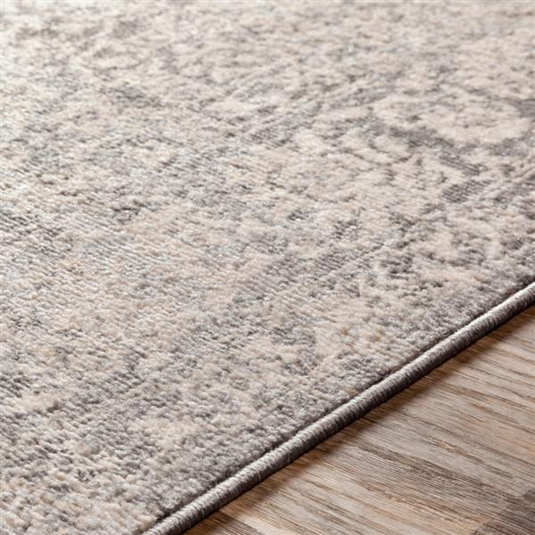 Surya City light Updated Traditional Area Rug - 7-ft 10-in x 10-ft - Rectangular - Beige