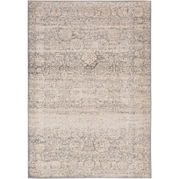 Surya City light Updated Traditional Area Rug - 7-ft 10-in x 10-ft - Rectangular - Beige