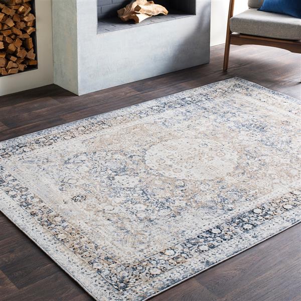 Surya Durham Updated Traditional Area Rug - 9-ft x 12-ft - Rectangular - Dark Blue