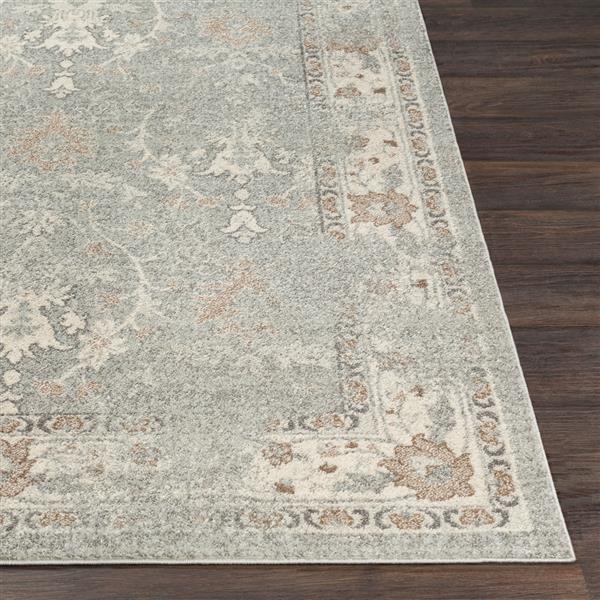 Surya Chelsea Updated Traditional Area Rug 5ft 3in x 7ft 3in Rectangular Gray CSA2322