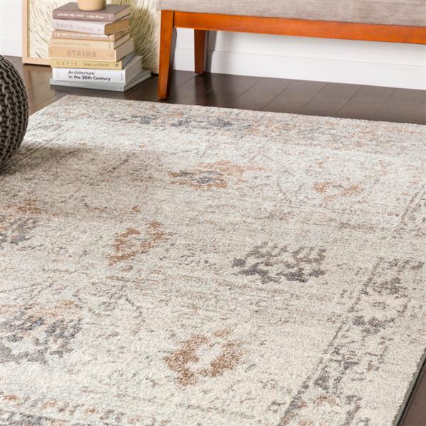 Surya Chelsea Updated Traditional Area Rug 7ft 10in x 10ft 3in Rectangular Gray