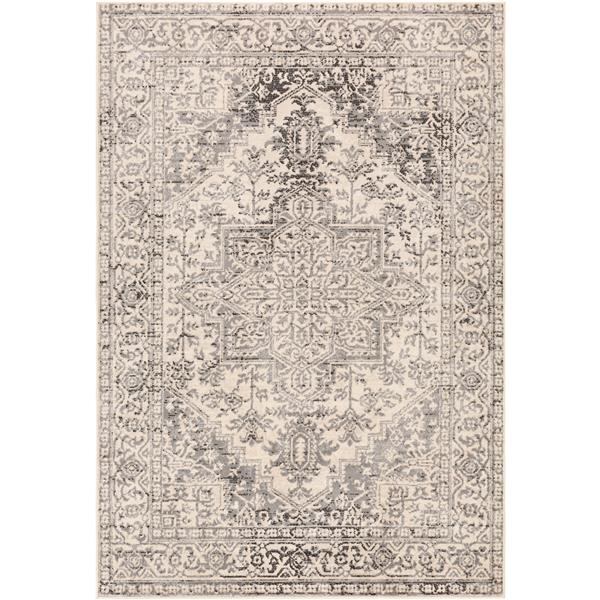 Surya City light Updated Traditional Area Rug 6ft 7in x 9ft