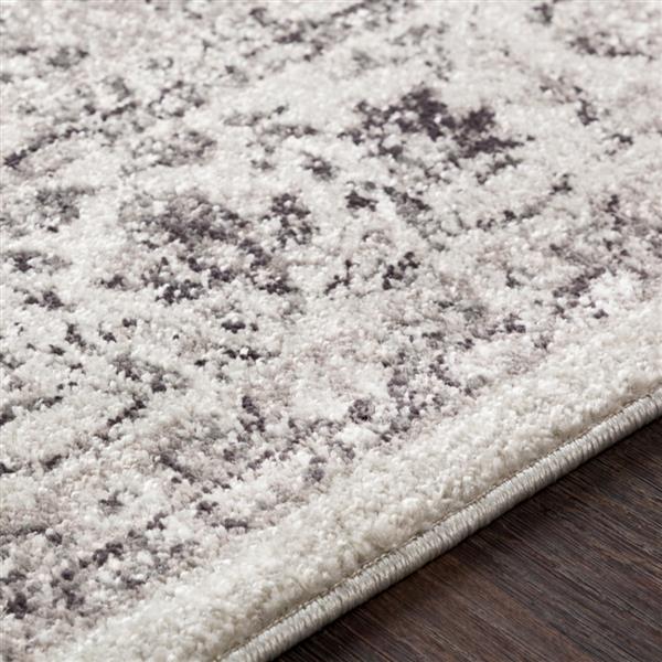 Surya Chelsea Updated Traditional Area Rug 7ft 10in x 10ft 3in Rectangular Gray