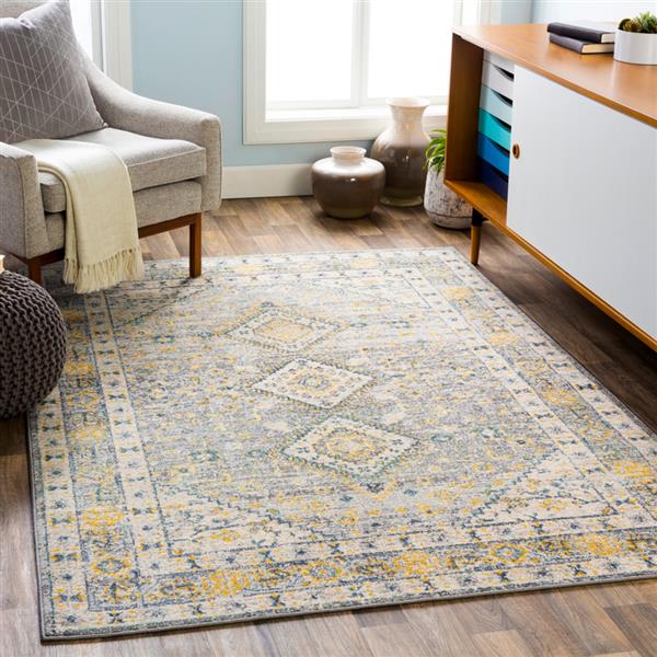 Surya City light Updated Traditional Area Rug - 7-ft 10-in x 10-ft - Rectangular - Gray