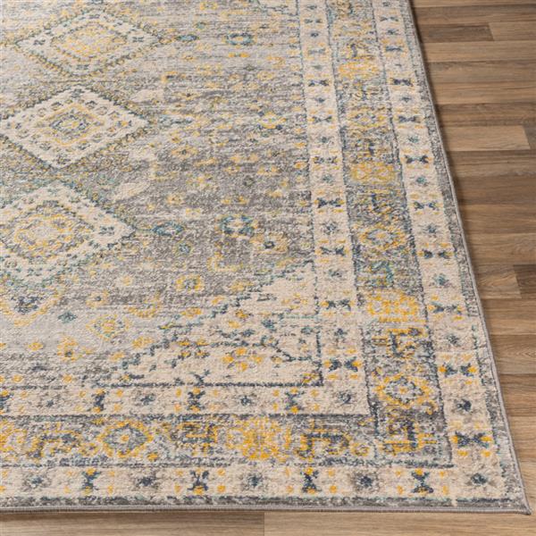 Surya City light Updated Traditional Area Rug - 7-ft 10-in x 10-ft - Rectangular - Gray