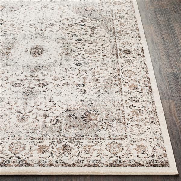 Surya Chelsea Updated Traditional Area Rug - 7-ft 10-in x 10-ft 3-in - Rectangular - Tan