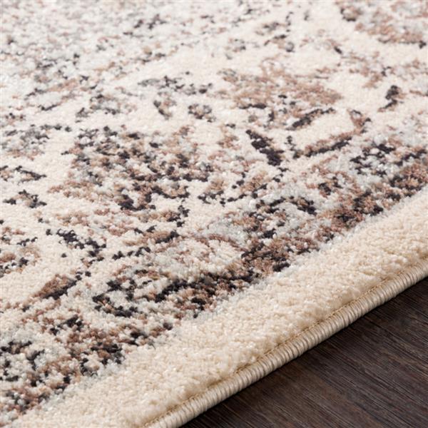 Surya Chelsea Updated Traditional Area Rug - 7-ft 10-in x 10-ft 3-in - Rectangular - Tan