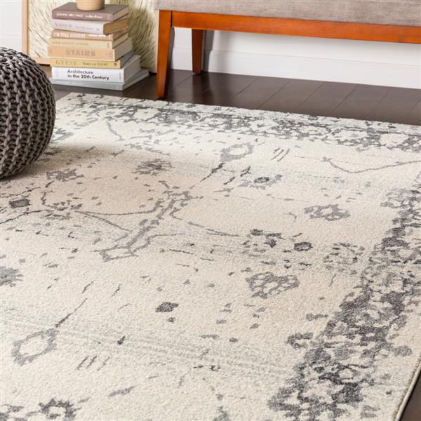 Surya Chelsea Updated Traditional Area Rug 5ft 3in x 7ft 3in Rectangular Gray CSA2325