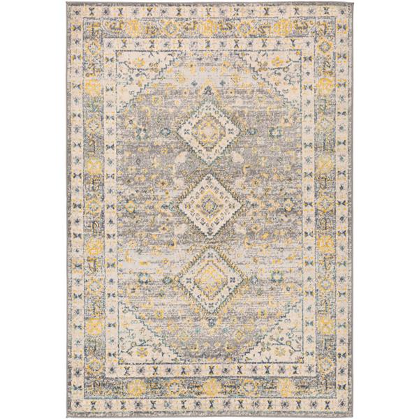 Surya City light Updated Traditional Area Rug - 6-ft 7-in x 9-ft - Rectangular - Gray