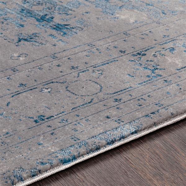 Surya Ephesians Updated Traditional Area Rug - 9-ft x 12-ft 10-in - Rectangular - Blue/Gray