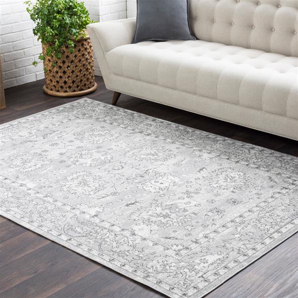 Surya Rafetus Updated Traditional Area Rug - 7-ft 10-in x 10-ft 3-in - Rectangular - Gray