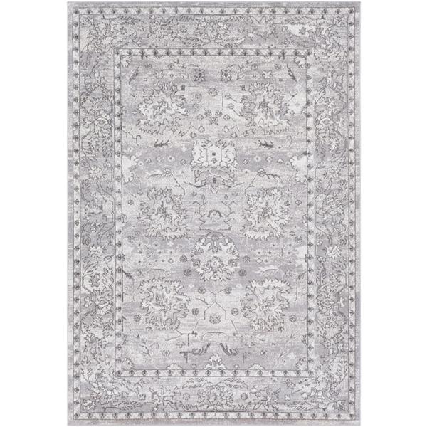 Surya Rafetus Updated Traditional Area Rug - 7-ft 10-in x 10-ft 3-in - Rectangular - Gray
