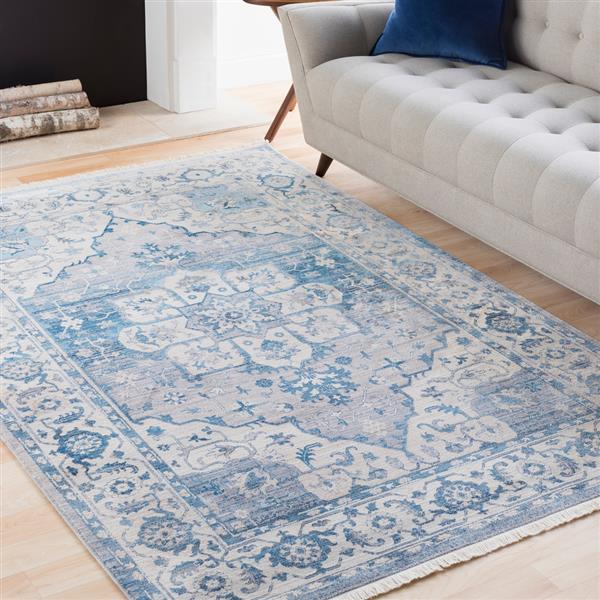 Surya Ephesians Updated Traditional Area Rug 3ft 11in x 5ft 7in Rectangular Sky Blue