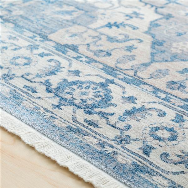 Surya Ephesians Updated Traditional Area Rug 3ft 11in x 5ft 7in Rectangular Sky Blue