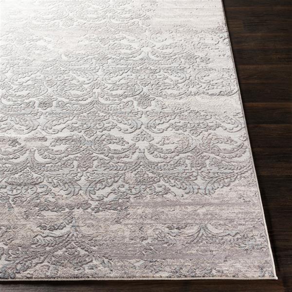 Surya Genesis Updated Traditional Area Rug - 3-ft 11-in x 5-ft 7-in - Rectangular - Silver