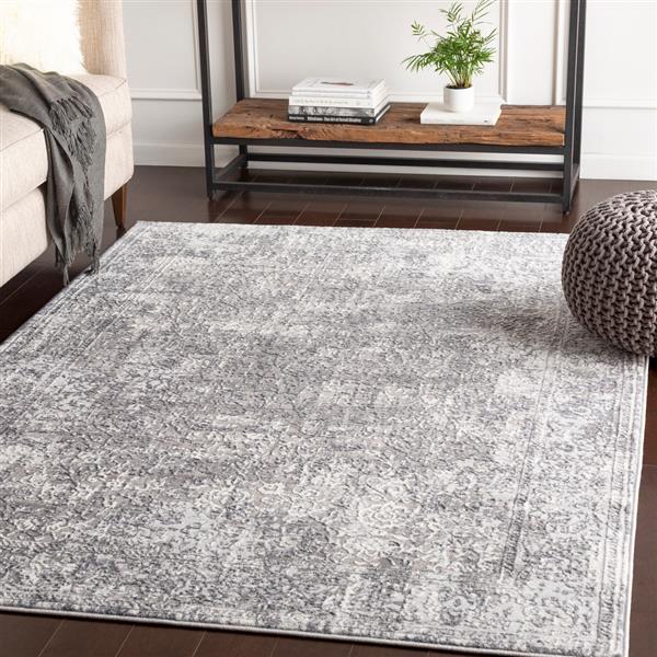 Surya Katmandu Updated Traditional Area Rug - 6-ft 7-in x 9-ft 6-in - Rectangular - Gray