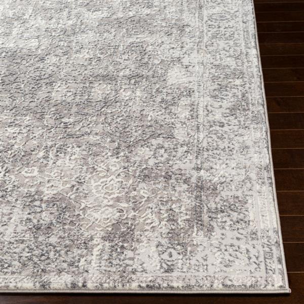 Surya Katmandu Updated Traditional Area Rug - 6-ft 7-in x 9-ft 6-in - Rectangular - Gray