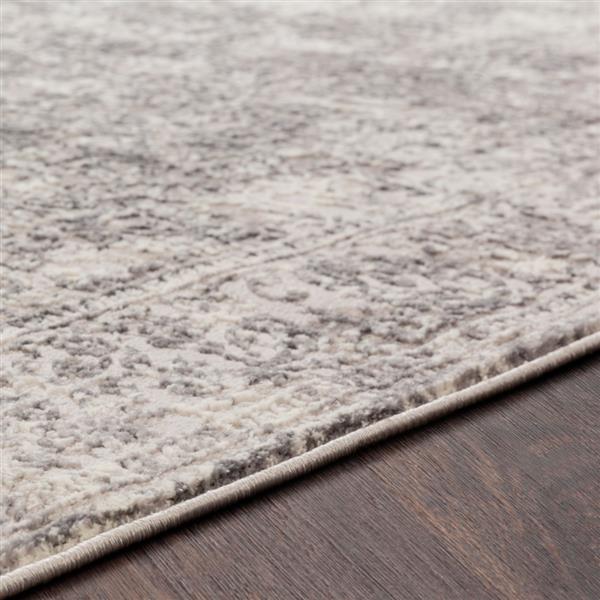 Surya Katmandu Updated Traditional Area Rug - 6-ft 7-in x 9-ft 6-in - Rectangular - Gray