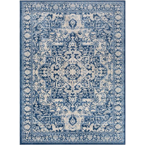 Surya Monaco Updated Traditional Area Rug 7ft 10in x 10ft 3in