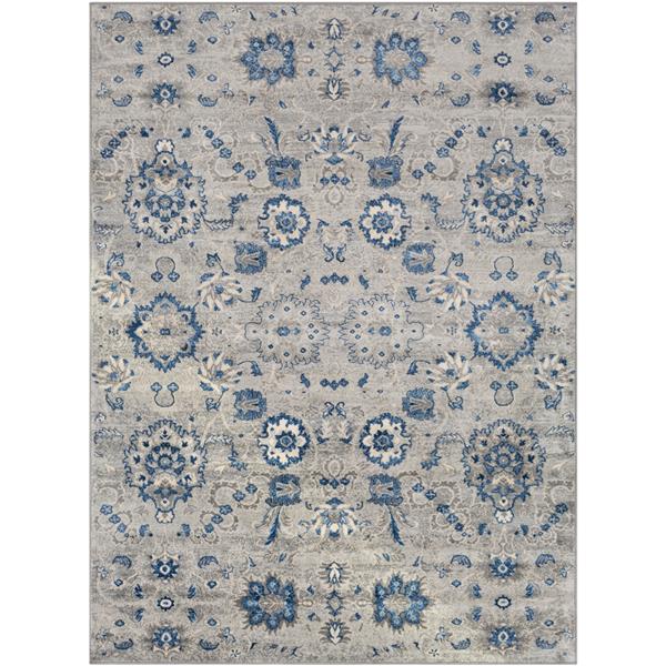 Surya Monaco Updated Traditional Area Rug 6ft 7in x 9ft 6in