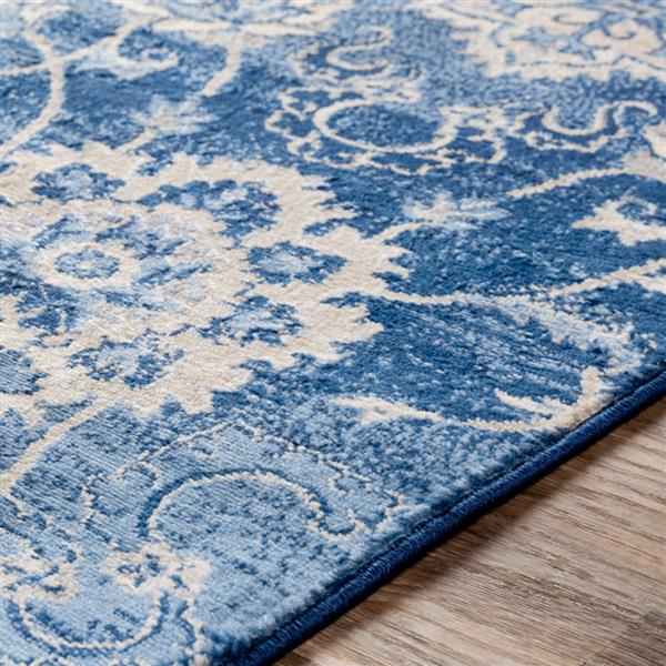 Surya Monaco Updated Traditional Area Rug 7ft 10in x 10ft 3in